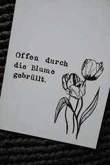 Postkarte "Blume gebruellt" gestempelter Spruch