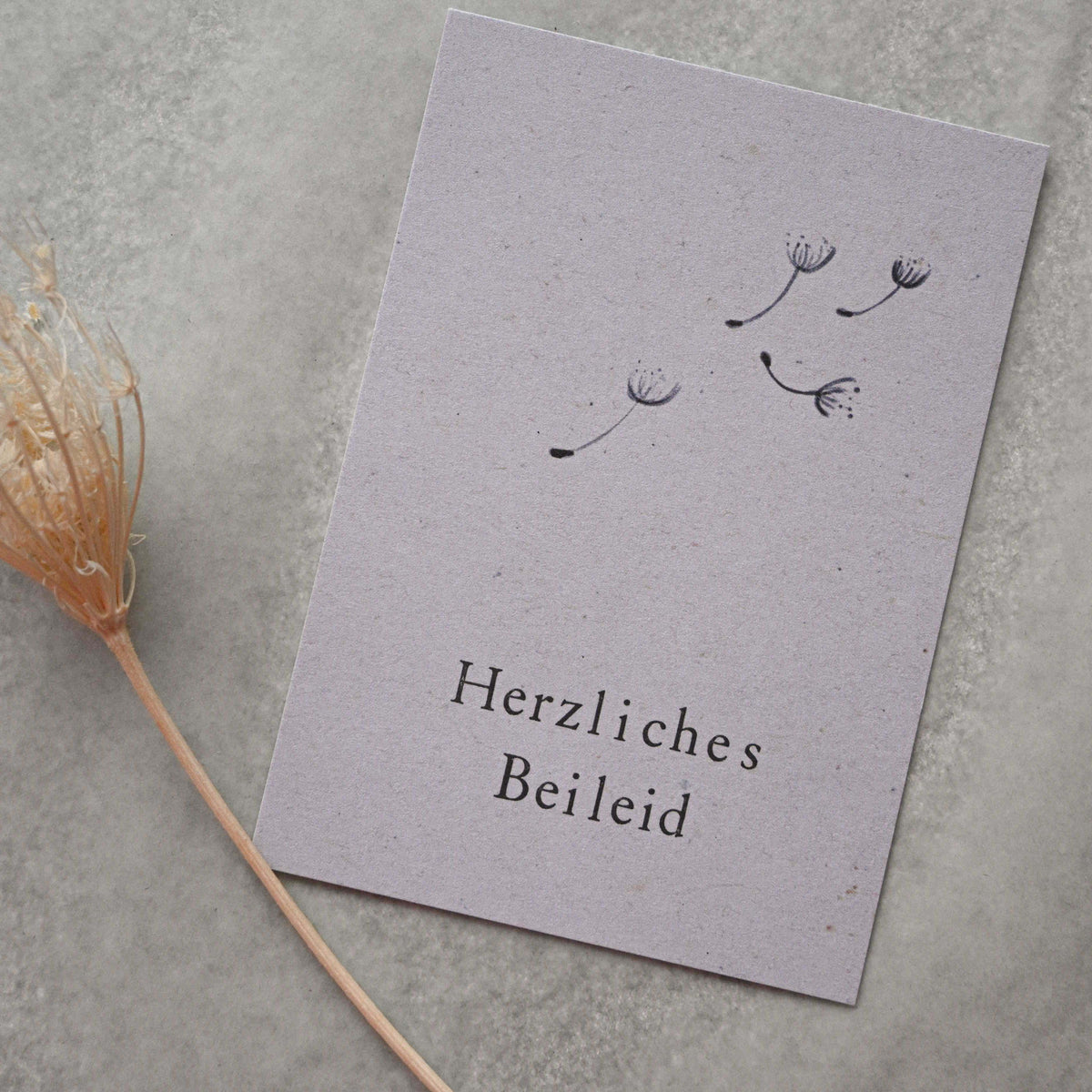 Kleine Karte "Herzliches Beileid" mit Illustration Samen