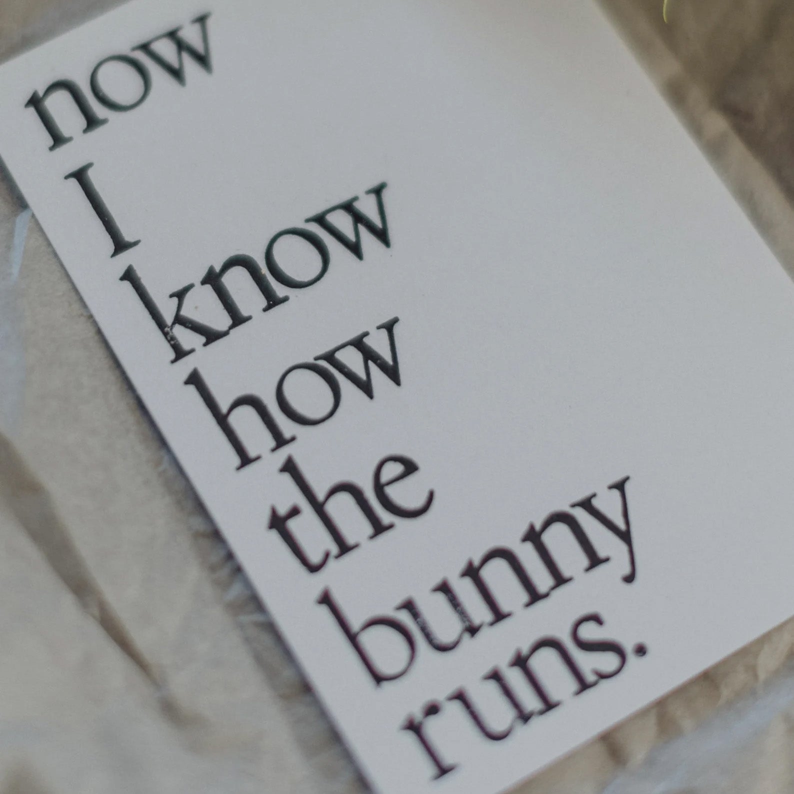 Postkarte "Bunny runs" gestempelter Spruch